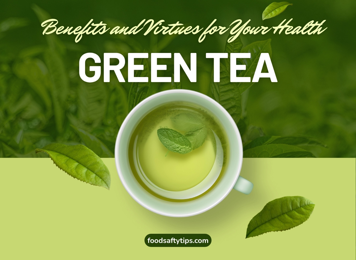 Green Tea Benefits and Virtues for Your Health in 2026