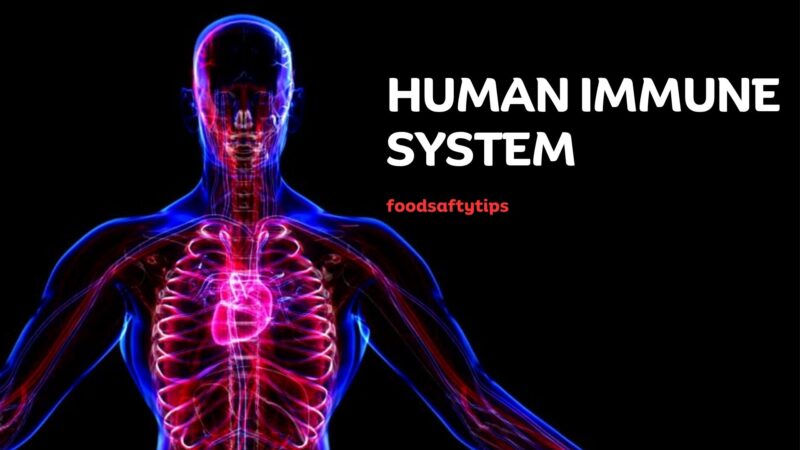 How to Keep Your Immune System Strong to Reduce Surgical Risks