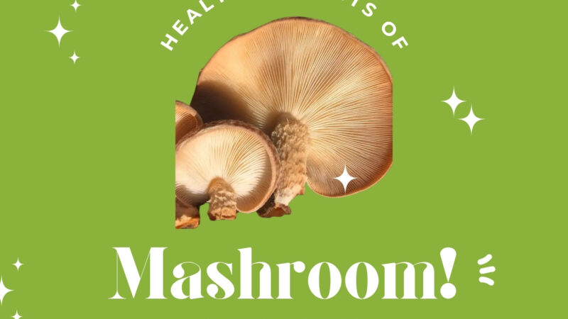 The Benefits of Mashroom for Your Health