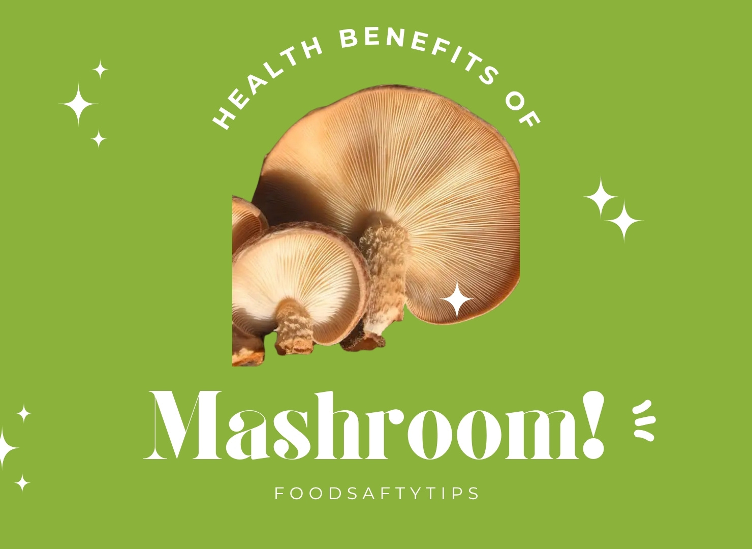 The Benefits of Mashroom for Your Health